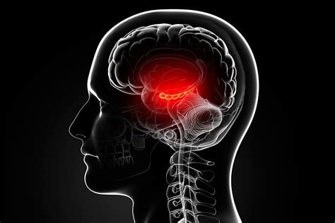 What Happens When a Neurosurgeon Removes Your Hippocampus | WIRED