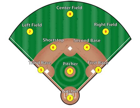 Sports Genius Baseball Positions Genius