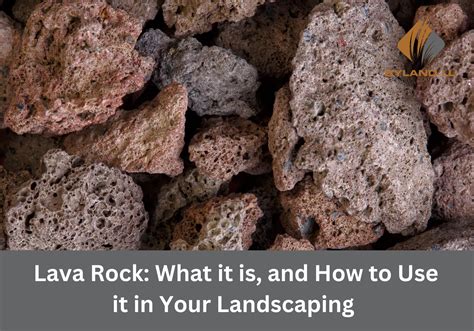Lava Rock: What It Is, And How To Use It In Your Landscaping