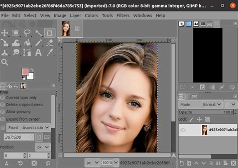 How To Use Gimp Javatpoint