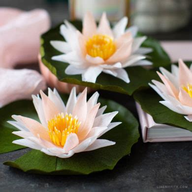 Crepe Paper Water Lily Member Make Workshop Lia Griffith