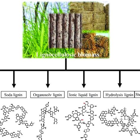 Summary Of Catalytic Depolymerization Of Lignin Using Bimetallic