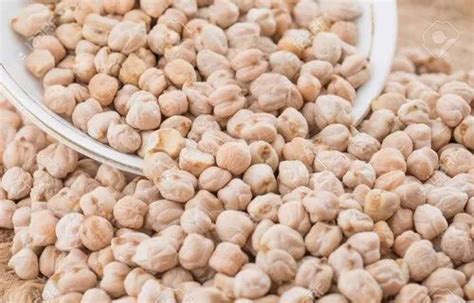 Shikha Mani Indian Organic White Kabuli Chana High In Protein