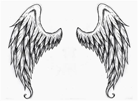 Wings Tattoo StencilsAngel Wings Free Tattoo Stencil Angel Wings Free