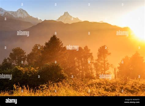 Sunrise at Poon Hill in Himalayas with a view of Annapurna range. Nepal ...