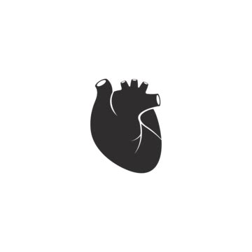 Illustration Of A Cardiology Icon Featuring A Vector Human Heart Logo