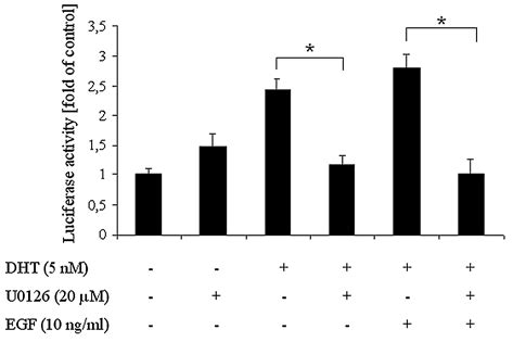 Influence Of Egf Administration And Mek Inhibition On Dhtinduced