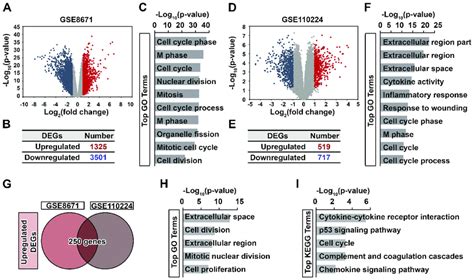 Generation And Functional Analysis Of Degs Upregulated In Crc Volcano