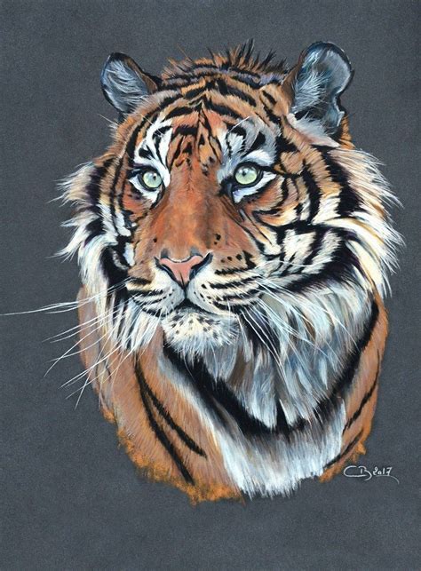 Tigre de Sumatra aux pastels | blsck labradors | Dibujo tigre, Dibujo lapiz color, Animales salvajes