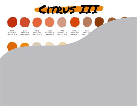 Procreate Color Palette Citrus 3 Instant Download Digital File Color