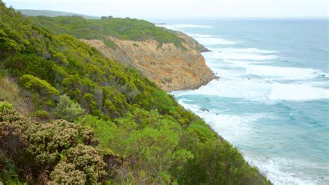 Cape Otway Vic Waterfront Holiday Accommodation Stayz