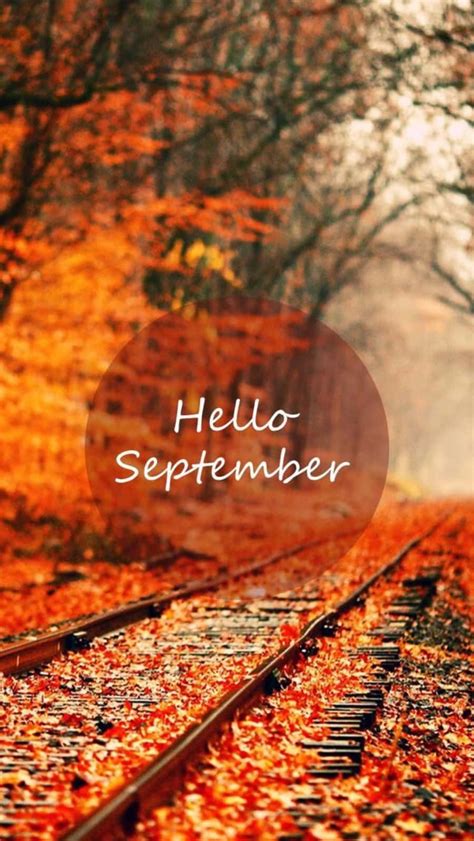 Download Hello September Greeting In Transparent Circle Wallpaper