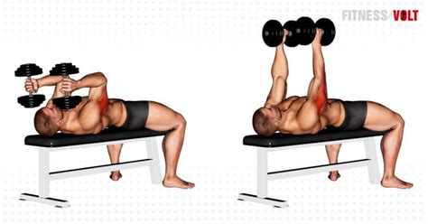 How To Do The Dumbbell Lying Triceps Extension Fitness Volt