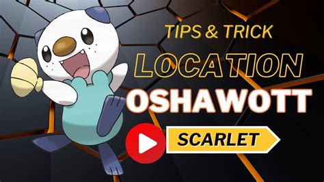 Oshawott Tricks Tips Location Pokémon Scarlet And Violet Youtube