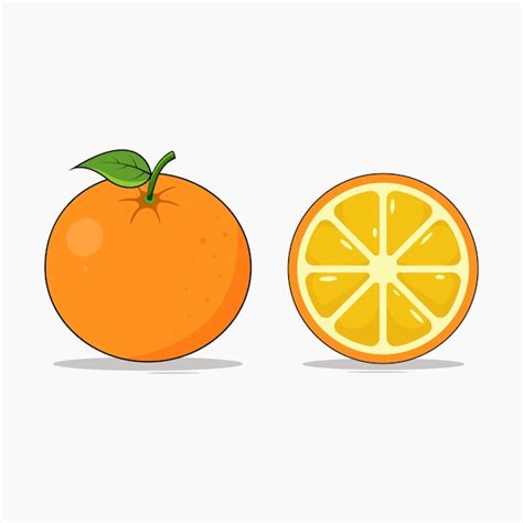 Ilustración de vector de fruta naranja Vector Premium