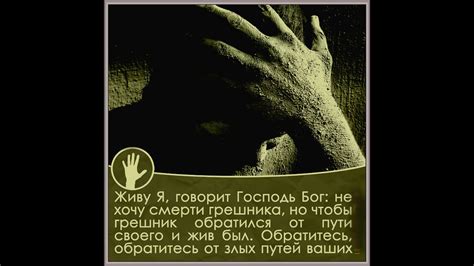 За всё заплачено - YouTube