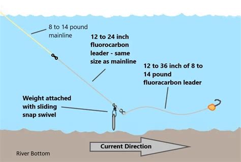 6 Most Effective Trout Fishing Rigs That Top Guides Use