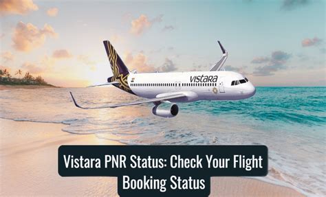 Vistara PNR Status: Check Your Flight Booking Status