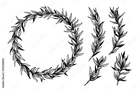 Hand Drawn Vector Illustration Vintage Decorative Laurel Wreath Stock