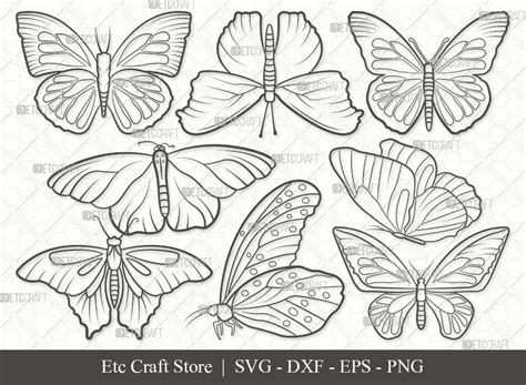 Monarch Butterfly Stencils