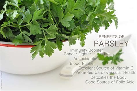 Benefits of Parsley