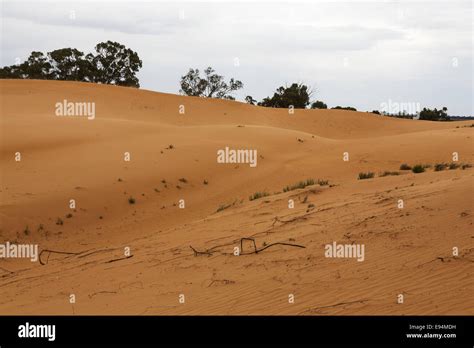 Sand Dunes Australia Hi Res Stock Photography And Images Alamy