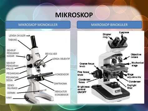 Строение микроскопа таблица