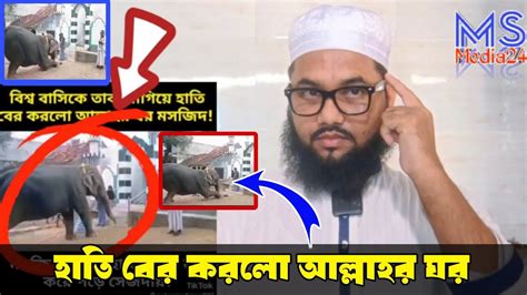 হাতি বের করলো আল্লাহর ঘর বিশ্ব বাসীকে তাক লাগিয়ে দিলো 🤔 The