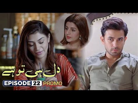 Dil Hi Toh Hai Episode 22 Promo Pakistani Drama Ali Ansari Zoya