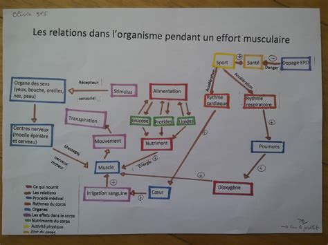 Epi Schema Bilan Eme Les Svt Au Coll Ge F Truffaut D Asni Res Sur