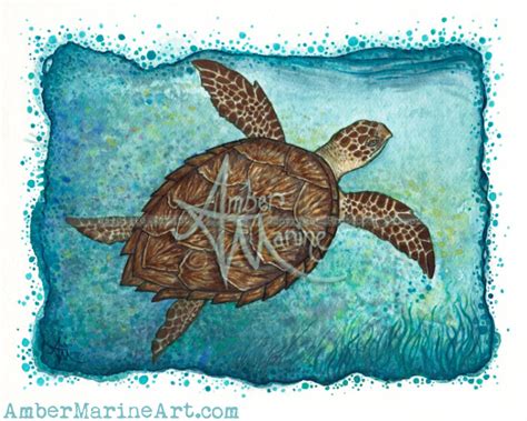 Amber Marine Wildlife Artist