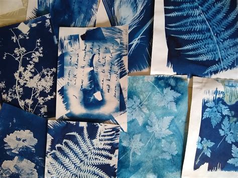 5 simple steps for getting started with Cyanotype printing — Kate Watkins | Artist & Printmaker