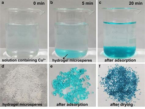 Hydrogel microspheres were immersed in copper sulfate solution ...