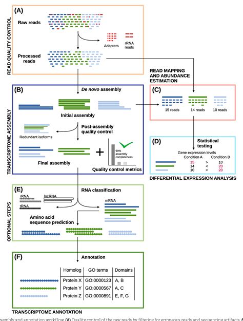 Figure 1 From A Simple Guide To De Novo Transcriptome Assembly And