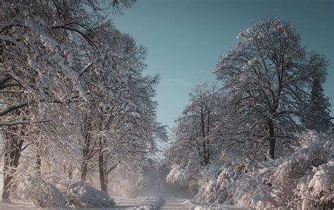 Winter Landscape Snow Free Photo On Pixabay Pixabay