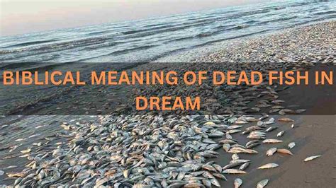 Exploring The Biblical Meaning Of Dead Fish In Dreams Dream Meaning