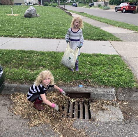 Adopt A Storm Drain Challenge Armatage Neighborhood Association