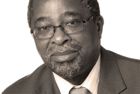 Moeletsi Mbeki - Alchetron, The Free Social Encyclopedia