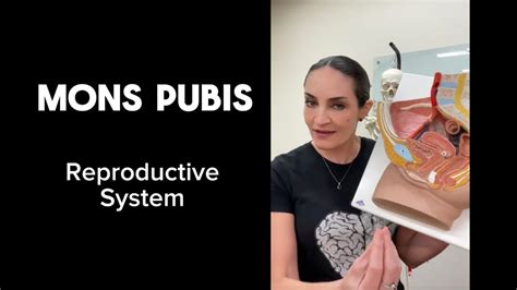 Reproductive System Mons Pubis Youtube