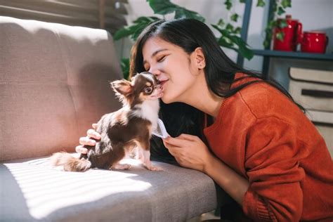 Hermosa Mujer Acicalando Al Perro Y Besando Al Cachorro Concepto De