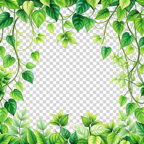 Premium PSD | Jungle vines flowing horizontal border isolated on ...