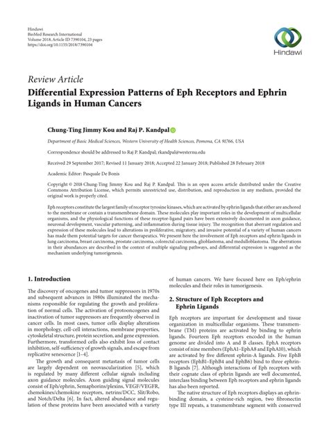 Pdf Differential Expression Patterns Of Eph Receptors And Ephrin