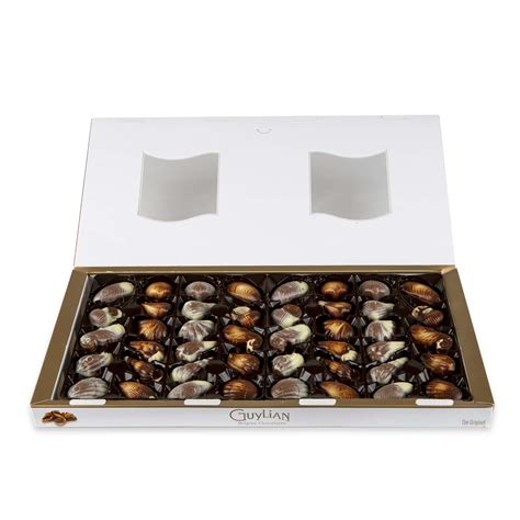 Guylian Belgian Chocolate Gift Box Includes Silky Smooth Sea Shell