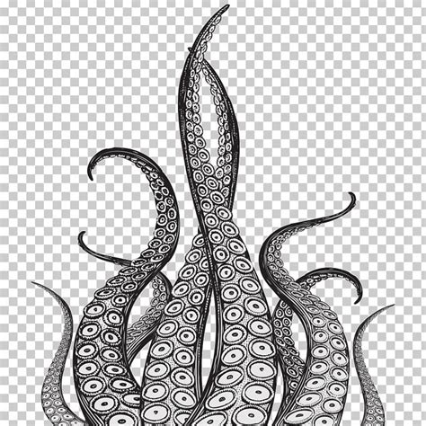 Kraken Octopus Squid Drawing Tentacle PNG, Clipart, Black And White ...