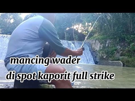 Mancing Wader Microfishingan Agar Tdk Boncos Pakai Cara Ini