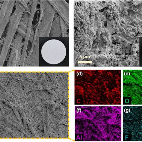 Morphology Characterization Of The Cellulose Filter Paper And