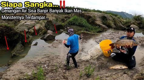 Rejeki Nomplok Jala Ikan Digenangan Air Sisa Banjir Banyak Ikan Mas