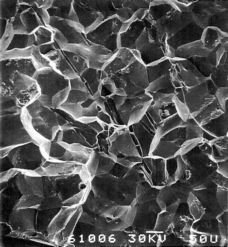 11 Intergranular Fracture Observed In A Low Alloy Steel 16mnd5