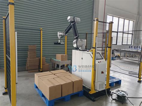 Fully Automatic Collaborative Cobot Robot Arm Palletizing With Axis