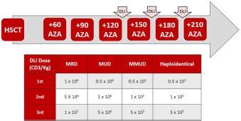 Efficacy Of Azacitidine And Prophylactic Donor Lymphocyte Infusion